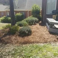 Trusted outdoor landscaping experts serving Warner Robins, GA - BD Lawn Service