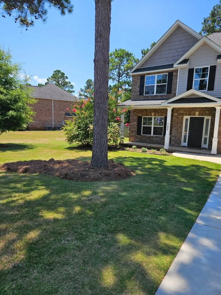 Professional landscape design for outdoor upgrades in Warner Robins, GA by BD Lawn Service