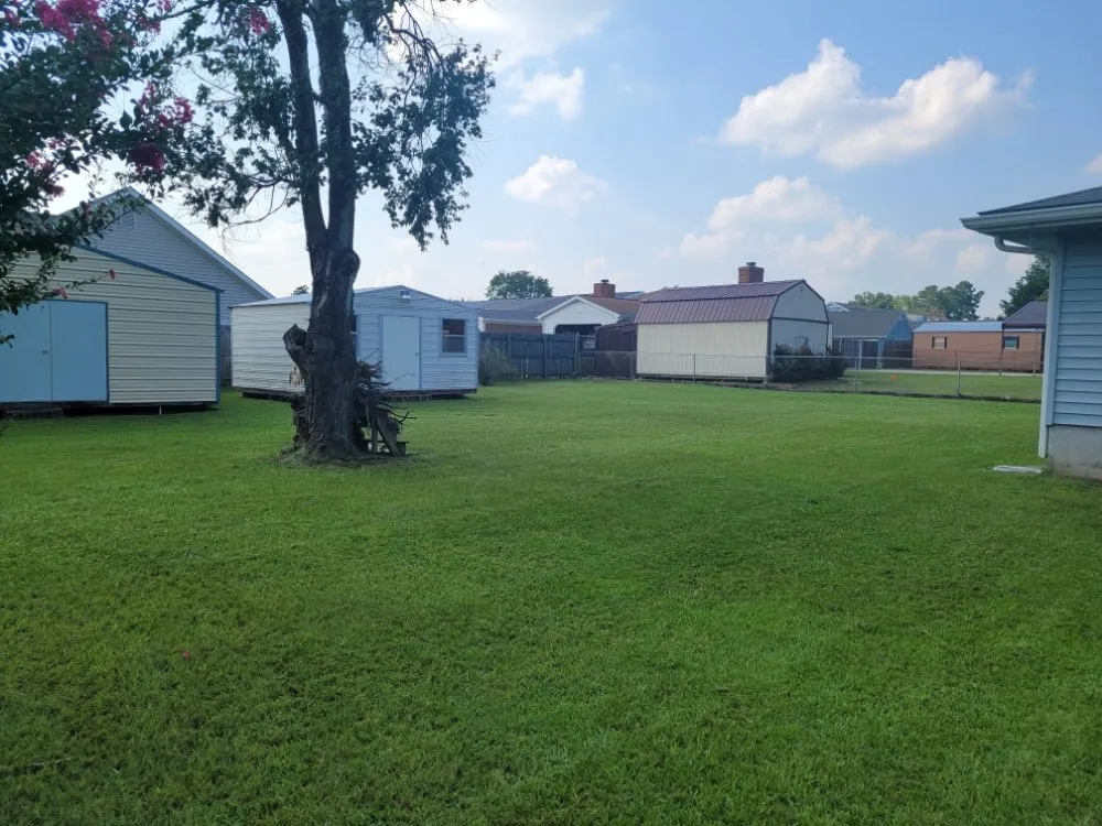 Professional yard cleanup service with custom design across Warner Robins, GA - BD Lawn Service