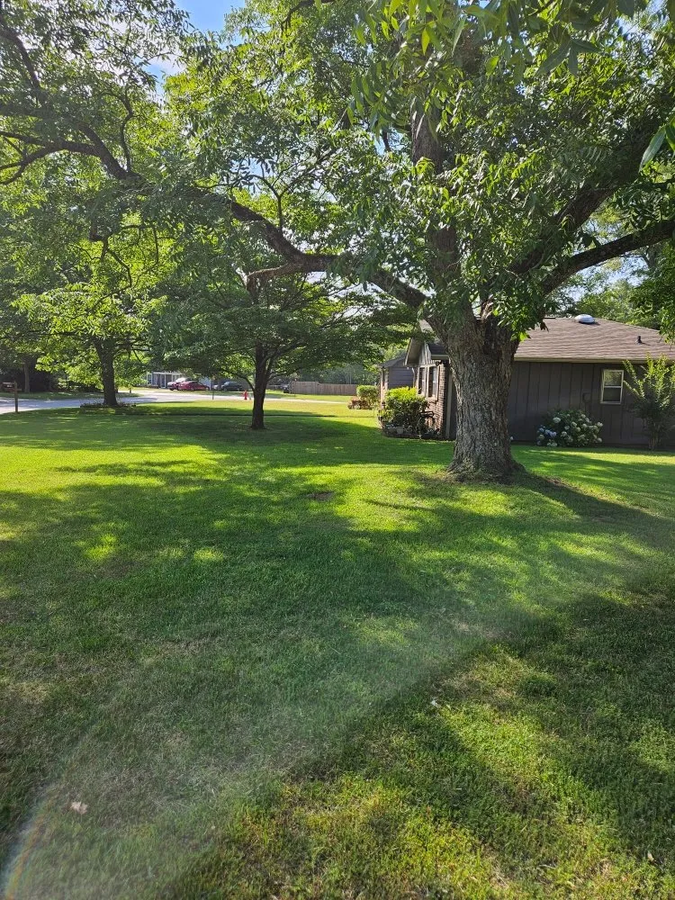 Trusted lawn mowing service experts serving Warner Robins, GA - BD Lawn Service