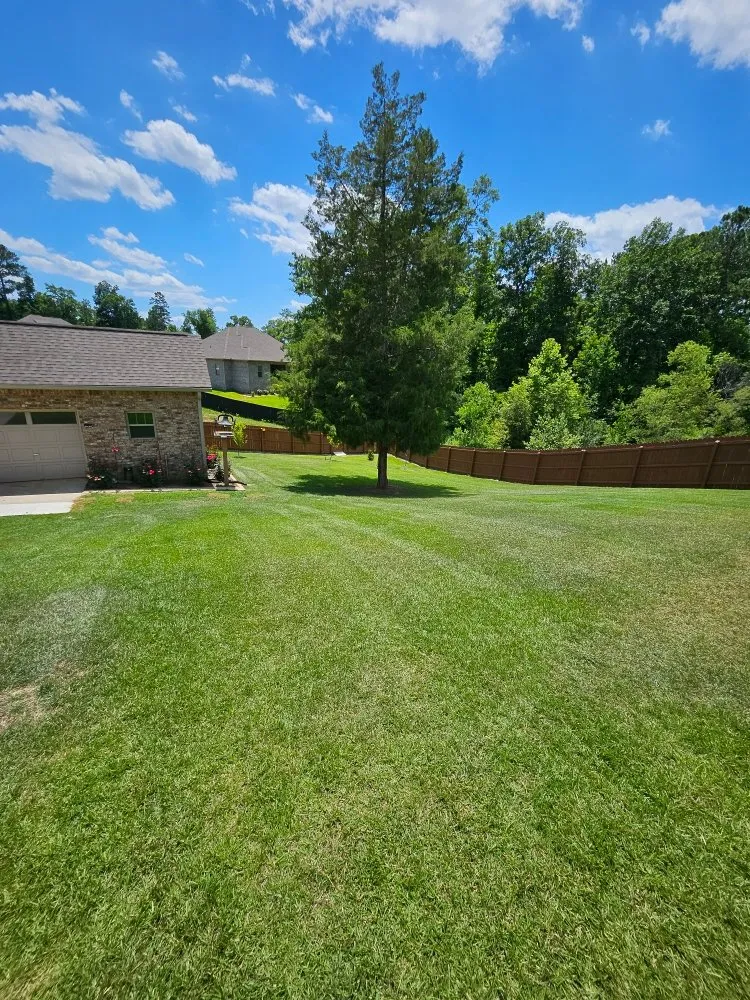 Top-rated yard maintenance experts serving Warner Robins, GA - BD Lawn Service