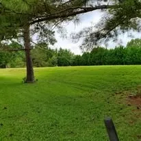 Top-rated yard cleanup service experts serving Warner Robins, GA - BD Lawn Service