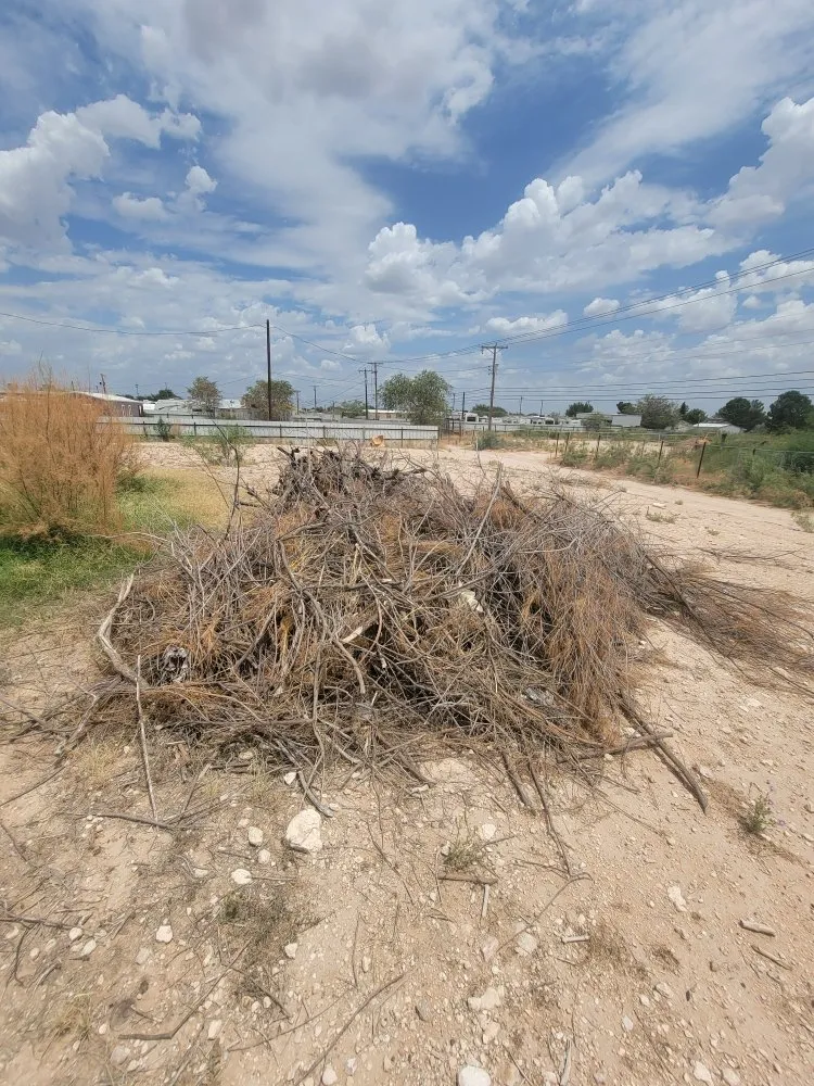 Custom landscape installation for residential properties across Odessa, TX - B&D Property Management
