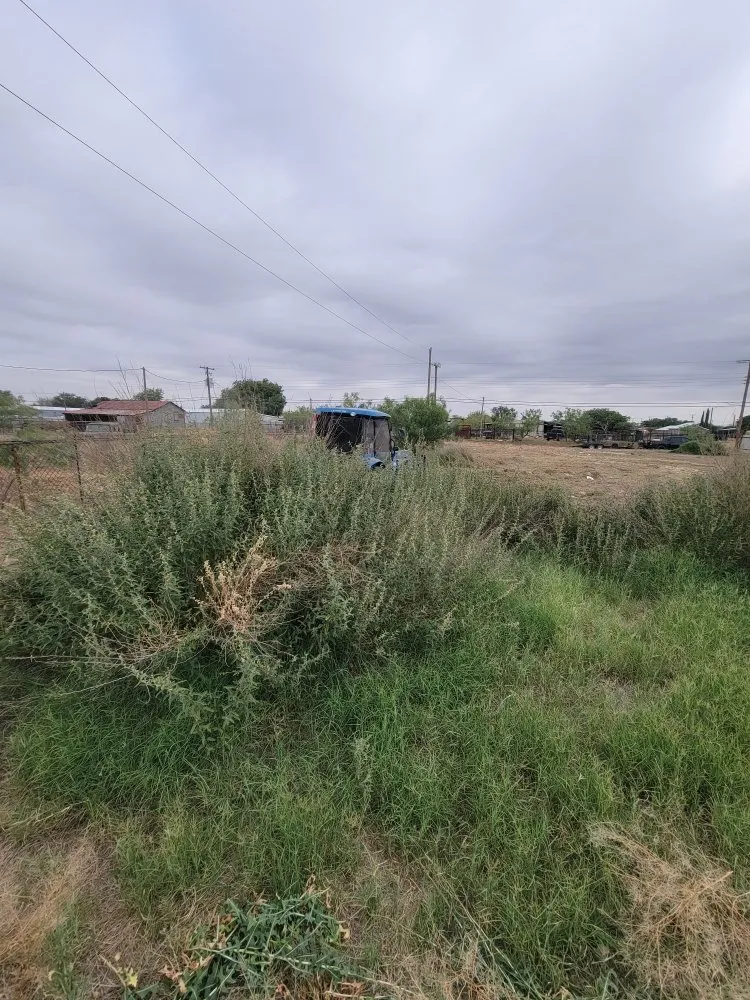 Custom landscape installation for outdoor upgrades in Odessa, TX by B&D Property Management