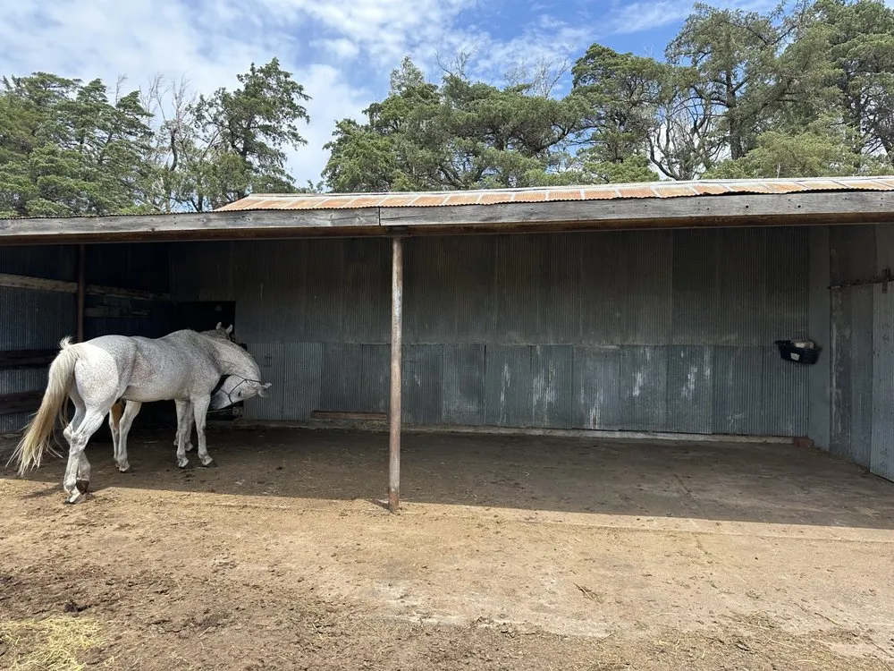 Affordable yard cleanup service with custom design in Hutchinson, KS by B&D Services