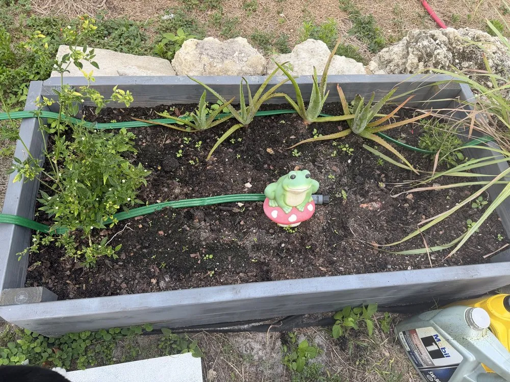 Affordable garden landscaping in Naples, FL - BD Vista Landscaping