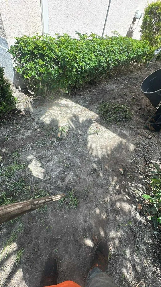 Custom lawn mowing service in Naples, FL - BD Vista Landscaping