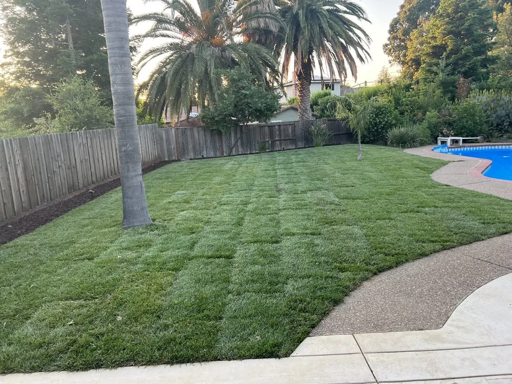Affordable lawn care service in Antioch, CA - BDC Landscape