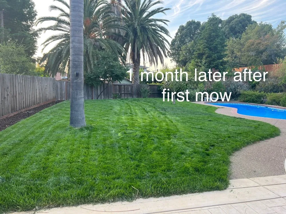 Custom landscaping services in Antioch, CA by BDC Landscape