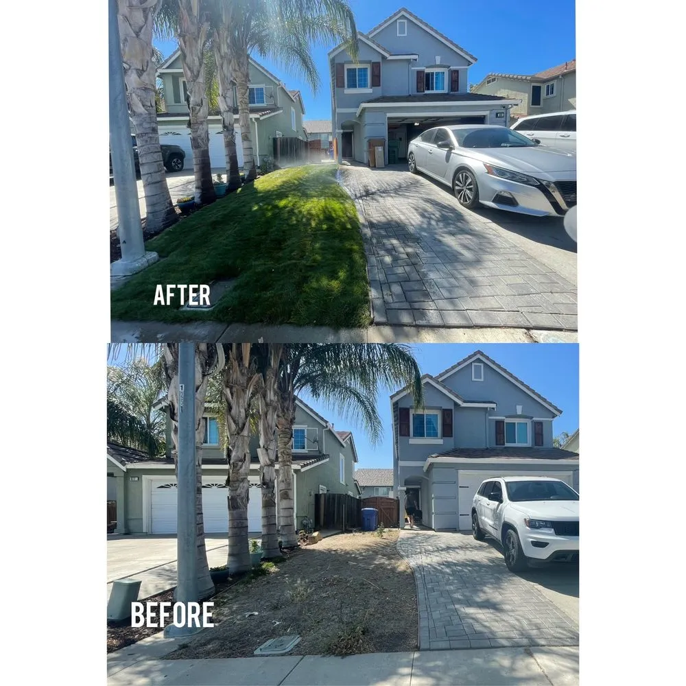 Top-rated yard cleanup service in Antioch, CA by BDC Landscape