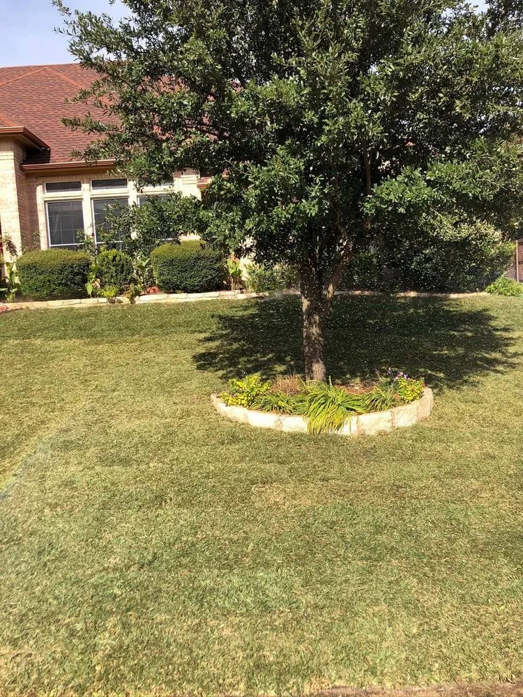 Affordable landscape design in Fort Worth, TX by BDC Lawn Care