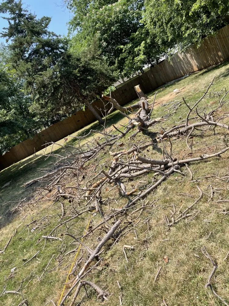 Trusted garden landscaping in Grand Prairie, TX - BDF’s Landscaping