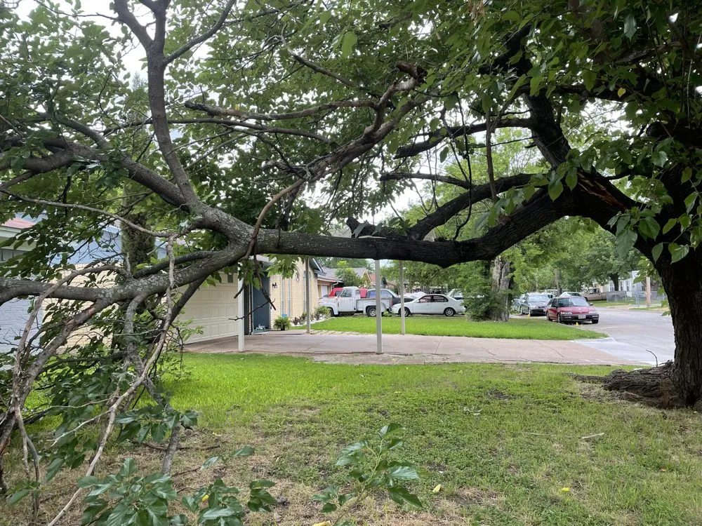 Trusted landscape installation for homes in Grand Prairie, TX by BDF’s Landscaping