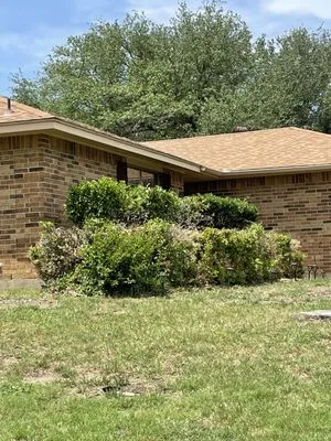 BDF’s Landscaping Logo