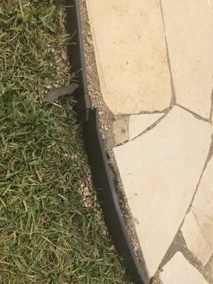 BDH Landscaping Logo