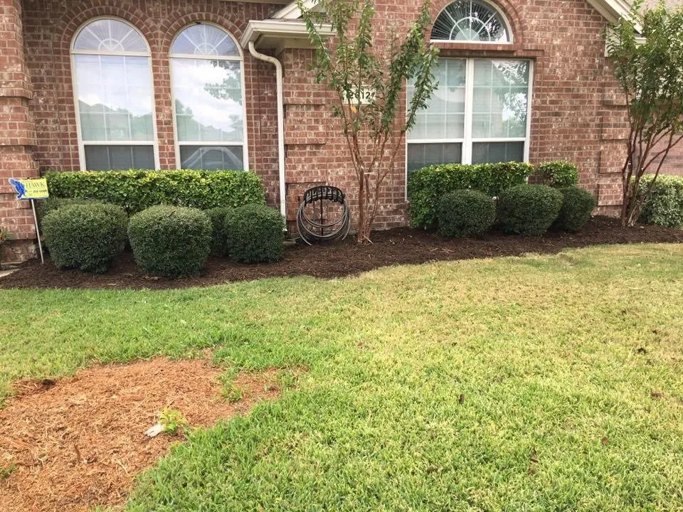 Affordable landscaping services in Fort Worth, TX - BDH Lawn Care Services