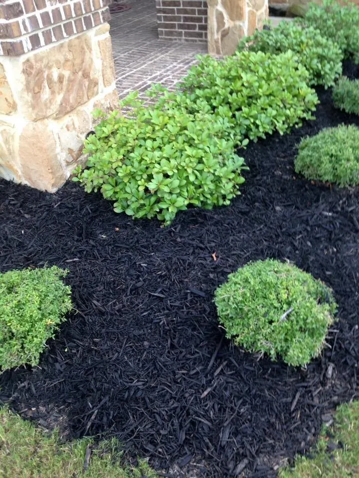 Trusted landscape installation in Fort Worth, TX by BDH Lawn Care Services