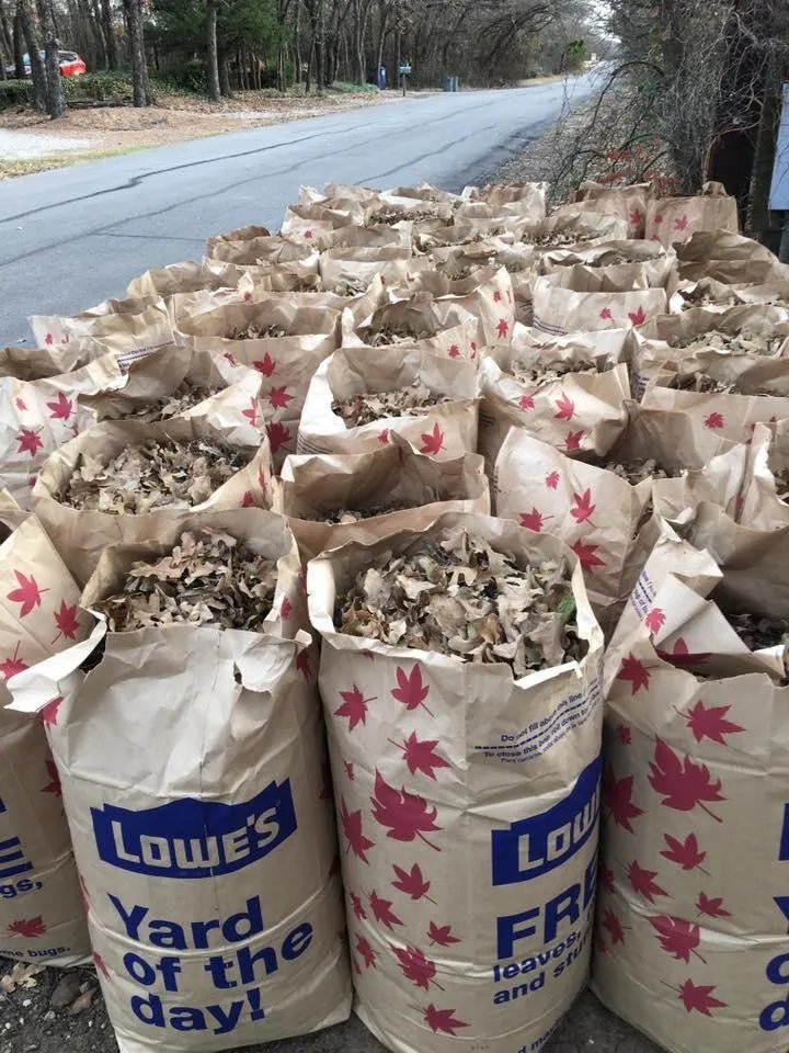 Local residential landscaping for year-round maintenance in Fort Worth, TX by BDH Lawn Care Services