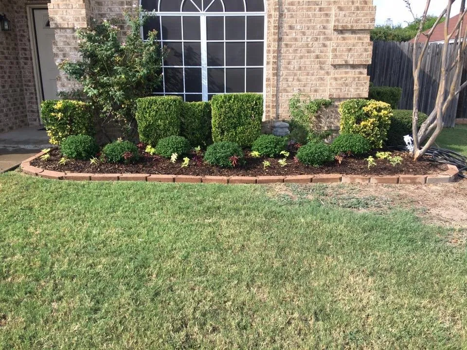 Affordable yard cleanup service experts serving Fort Worth, TX - BDH Lawn Care Services