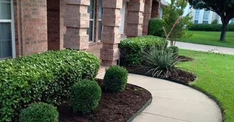 Custom yard maintenance in Fort Worth, TX by BDH Lawn Care Services