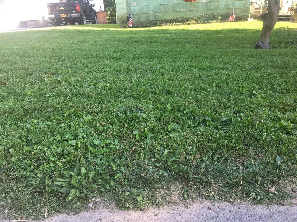 Affordable lawn care service experts serving Palmyra, NY - BDK Enterprise