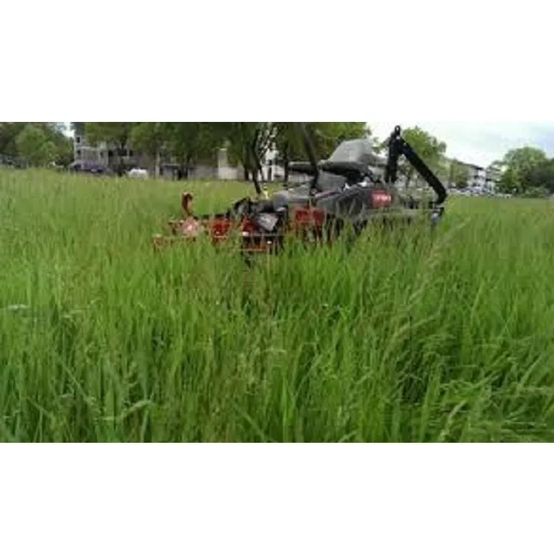 Local yard cleanup service in Grapevine, TX by BDM Lawn Management