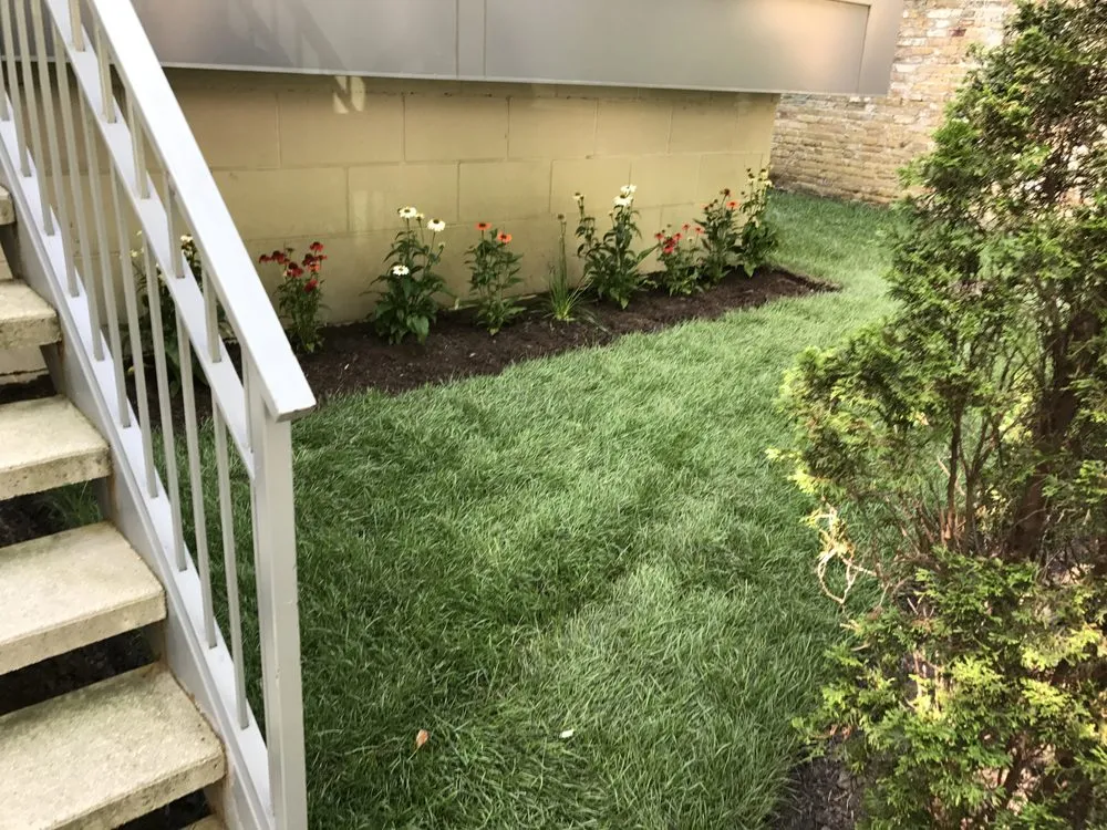 Reliable yard maintenance for homes in Chicago, IL by BDM Lawnscape
