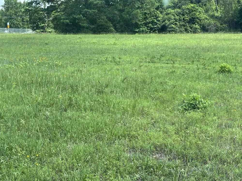 Professional yard maintenance experts serving Magnolia, TX - BDR Trucking & Tractor