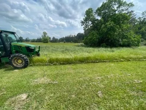 Reliable yard cleanup service with custom design across Magnolia, TX - BDR Trucking & Tractor