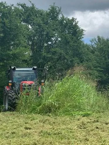 Professional yard cleanup service in Magnolia, TX - BDR Trucking & Tractor