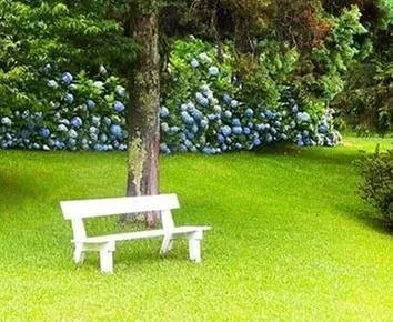 Professional landscape installation experts serving Lindale, GA - BDS Landscape