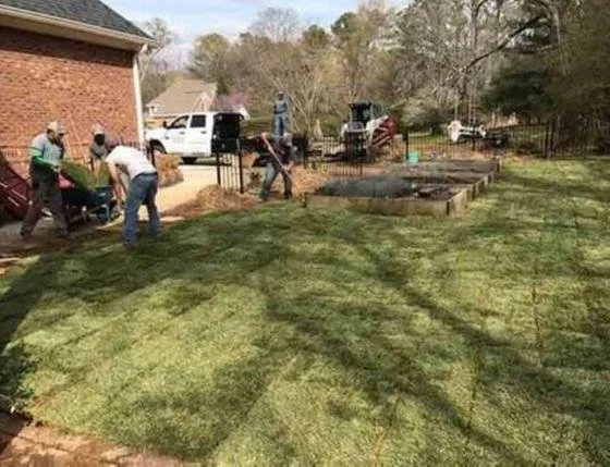 Affordable yard cleanup service in Lindale, GA - BDS Landscape