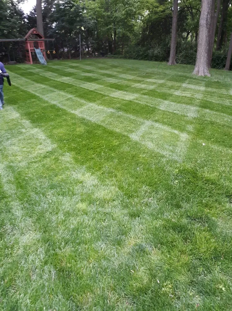 Local landscape installation experts serving Lexington, MO - BD's Platinum Lawn Care