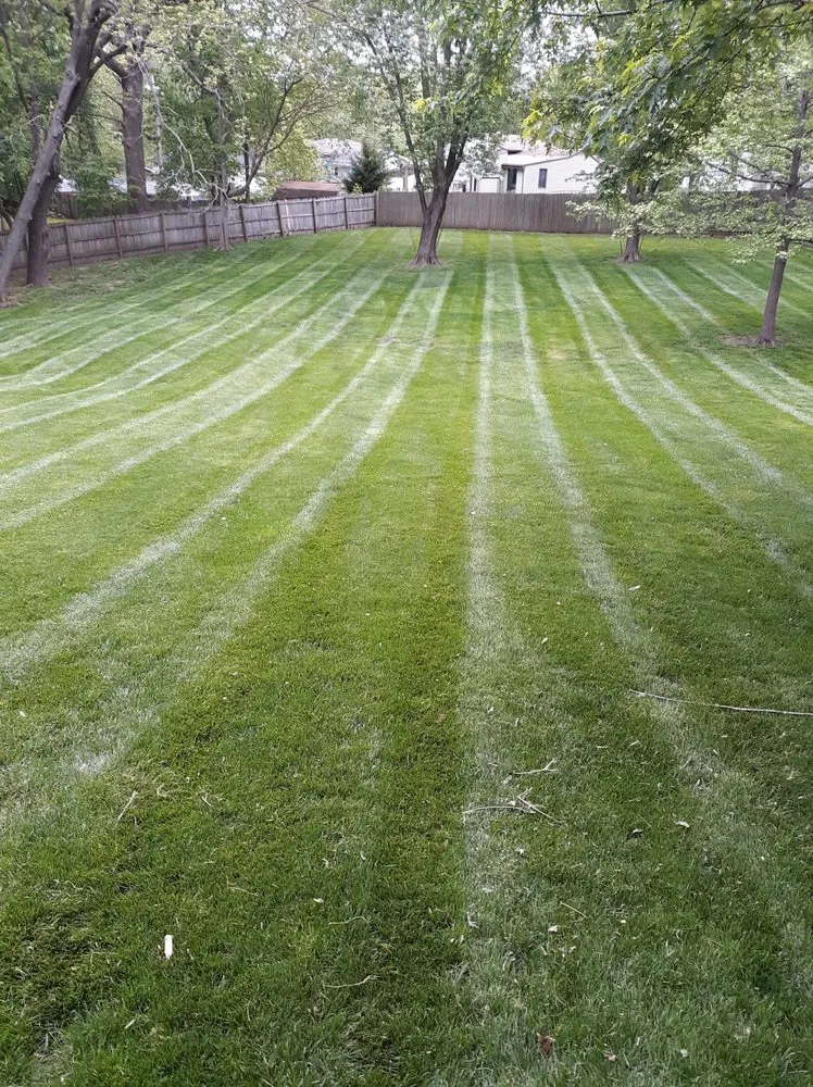 Trusted yard cleanup service in Lexington, MO by BD's Platinum Lawn Care