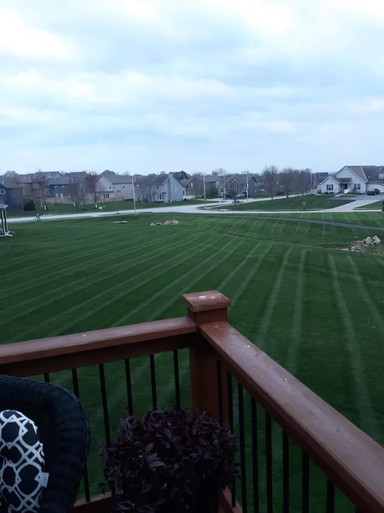 Custom yard maintenance for residential properties across Lexington, MO - BD's Platinum Lawn Care