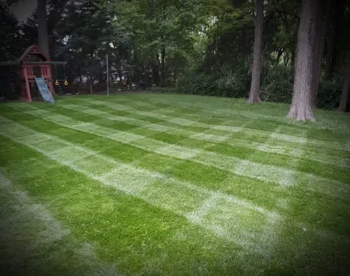 BD's Platinum Lawn Care