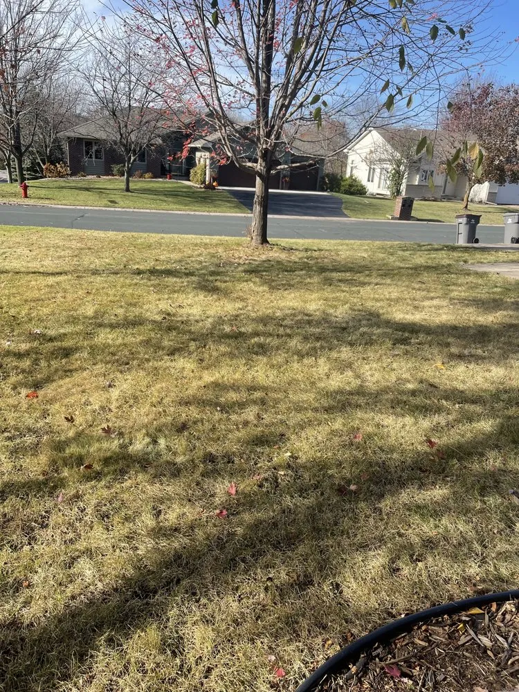 Professional lawn care service in Chaska, MN - BDX Seasonal Services