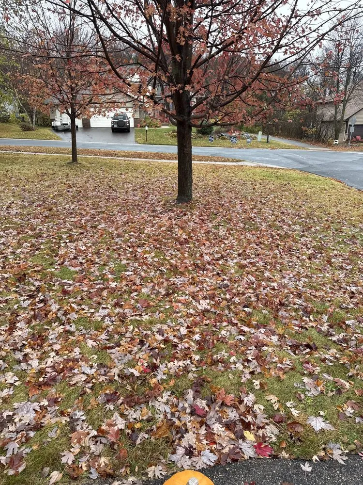 Top-rated garden landscaping near you in Chaska, MN by BDX Seasonal Services