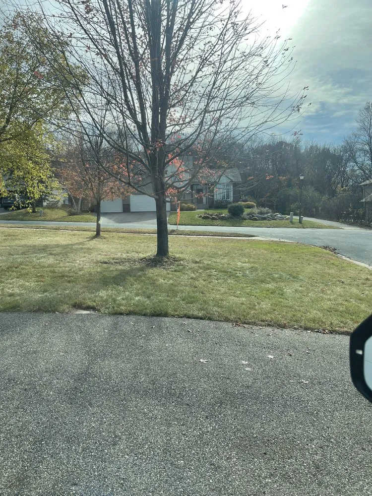 Affordable yard cleanup service experts serving Chaska, MN - BDX Seasonal Services