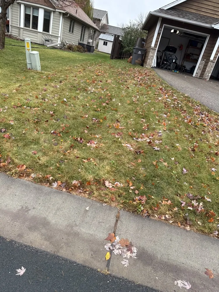 Trusted landscaping services in Chaska, MN - BDX Seasonal Services