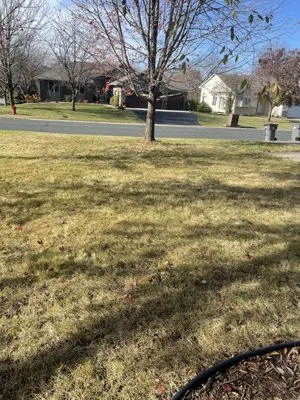 BDX Seasonal Services