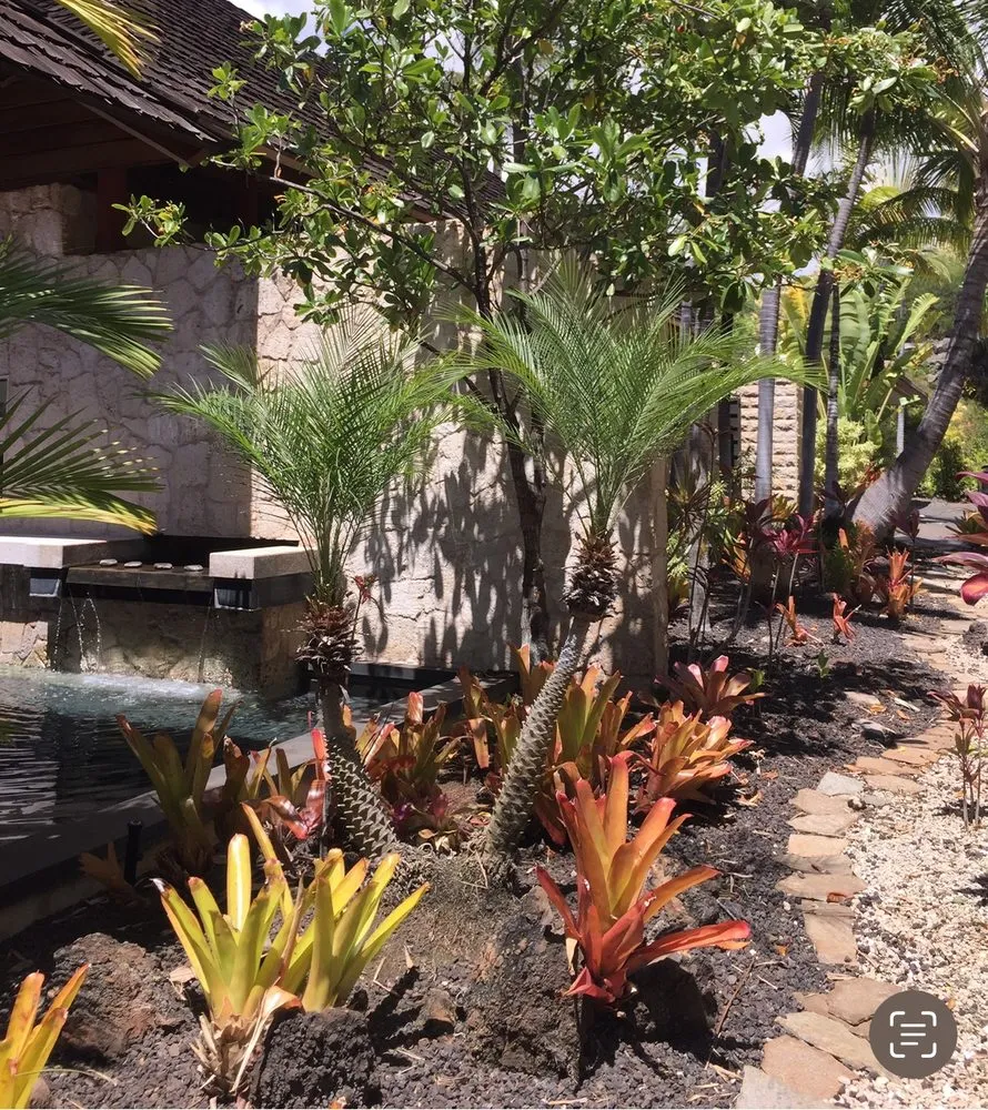 Affordable yard cleanup service for residential properties across Kula, HI - Be Easy Landscaping