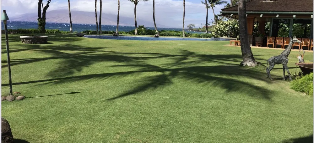 Custom lawn care service with custom design across Kula, HI - Be Easy Landscaping