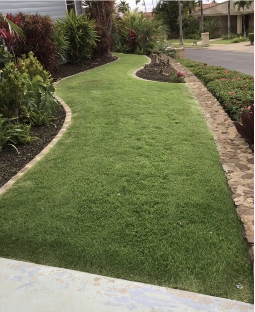 Custom landscaping services for beautiful yards in Kula, HI by Be Easy Landscaping