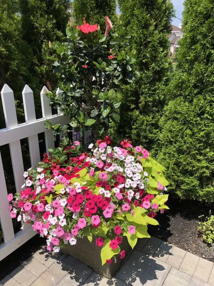 Top-rated residential landscaping in Atlantic City, NJ by Be Green All Pro Landscaping