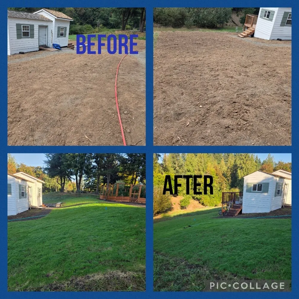 Trusted yard cleanup service in Beaverton, OR - Be Green