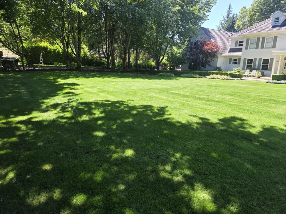 Affordable lawn care service in Beaverton, OR - Be Green