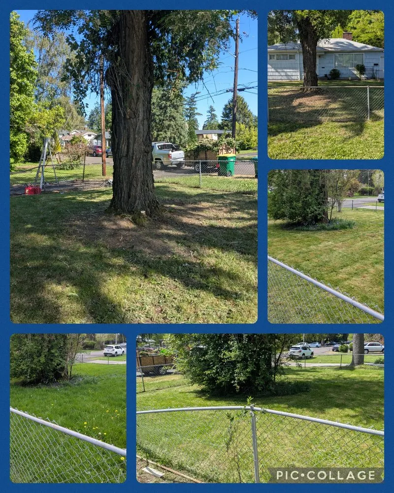 Local yard maintenance in Beaverton, OR by Be Green