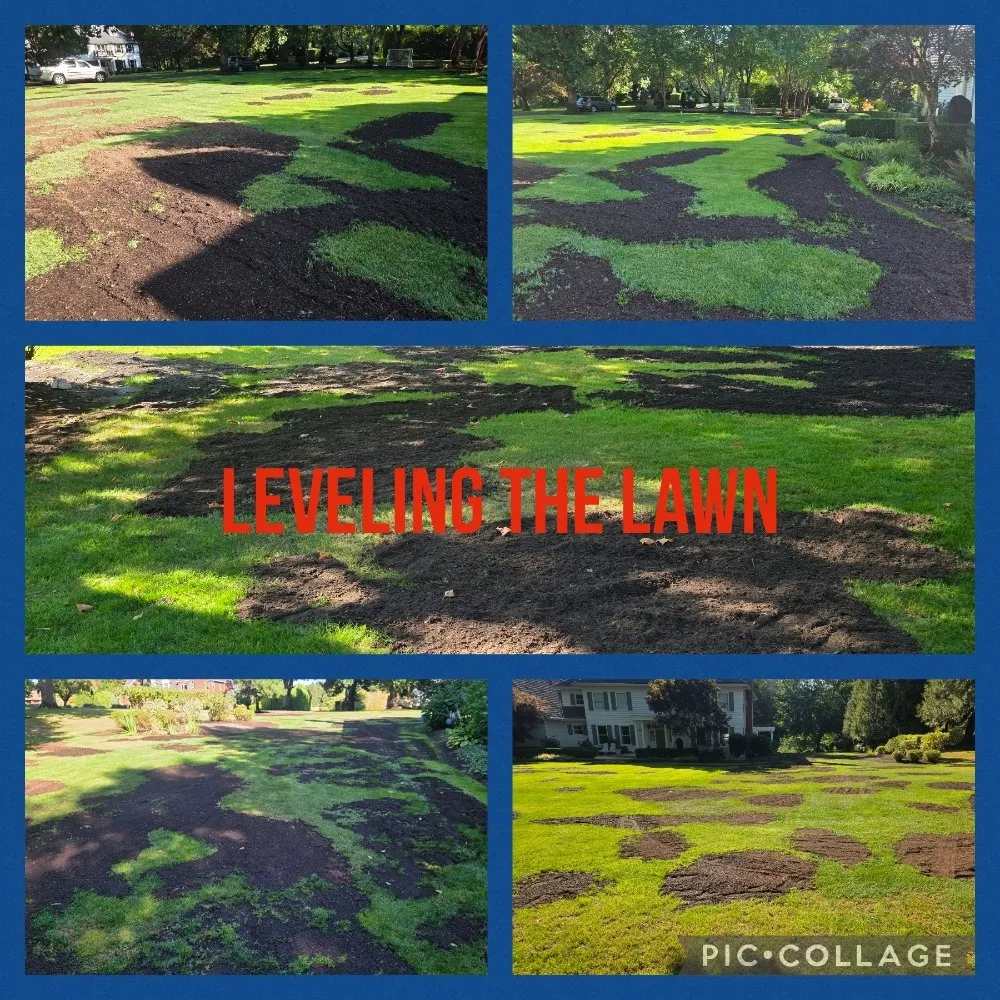 Expert garden landscaping in Beaverton, OR - Be Green