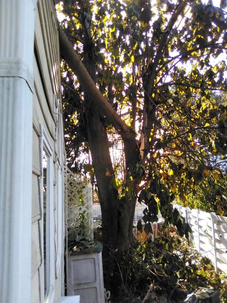 Expert outdoor landscaping near you across Grafton, MA - Be Green Landscaping